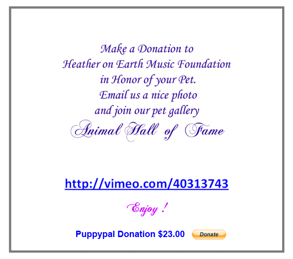 Puppy Pal Donation
